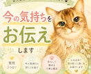 愛犬愛猫の今の気持ちや本音をより詳しくお伝えします 質問３つでこの子の想いを深く知ることができます イメージ1