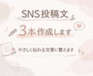 集客や発信に使えるSNS投稿文を3本作成します やさしく伝わるSNS投稿文を3本お作りします イメージ1