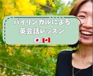 入門～ビジネス向けの英会話レッスンをします しっかりレッスンをしたい方向けの60分コース イメージ1