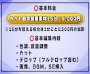 ビジネス系・Vlog系YouTube編集致します 解説系・セミナー系などフルテロップ動画の編集おまかせください イメージ2