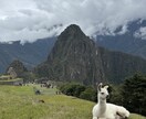 ワーホリや海外旅行のお悩み相談乗ります 英語力・海外経験ゼロから始めるワーホリ・海外旅行 イメージ2