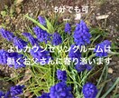 働き盛りのお父さん「職場の悩み」相談にのります カウンセリングに行く暇もない頑張り過ぎなあなたへ イメージ1