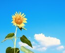 誰かと雑談したい！あなたの話し相手になります 詐欺師に騙された営業マンと話をして、気分転換しませんか❓ イメージ8