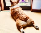 恋愛や会社、子育てなどの愚痴や悩みを聞きます 辛い時にはすぐに頼ってくださいね！心の支えになりたいです！ イメージ4