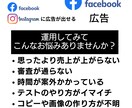 FB広告運用コンサル【プロが全力アドバイス】します 【Facebook広告の相談】売上コミットの改善・戦略立案 イメージ2