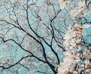 特別枠で参加✨今日からあなたの物語を書き直します 5日間で見つける✨知らなかったあなたの【物語】 イメージ4