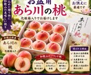 道の駅・直売所の売れるPOP作成しますます プロ品質の目を引くPOPを制作します イメージ4