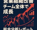 営業チーム総合分析 | 成約率向上の戦略立案します 営業チーム全体の商談を分析し成績上位者と下位者の違いを明確化 イメージ1
