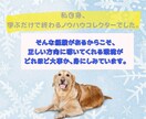 ゼロから商品が売れるようになるコンサルやります はじめての商品販売を成功に導くサポート イメージ8