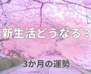 新生活の不安どうなる？3か月の運勢占います 人間関係や環境の変化を丁寧に読み解きます イメージ1