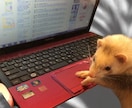 犬猫小動物｜生き物好きさんの相談や自慢話を聴きます トークルームで10通やりとり-通話と違い落ち着いてトーク可能 イメージ2