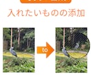 即納品&格安！白抜き、背景透明、写真加工します 切り抜き、色変更、不要物の除去、美容レタッチなど全て対応！ イメージ6
