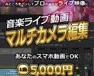 音楽ライブ映像をマルチカメラ編集します みどころをパンしてプロのようなライブ映像に！スマホ動画OK！ イメージ1