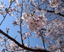 １ヶ月じっくりやり取りします わたしとじっくり１ヶ月間チャットが出来ます♡ イメージ1