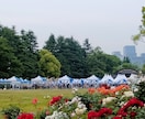 様々なイベントの最高の瞬間を逃さず、美しく残します 大切な瞬間を永遠に。元保育士が、自然な笑顔を引き出します。 イメージ2