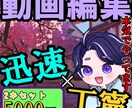 短尺動画を「二本セット」で迅速に編集します 短尺動画の編集を承ります。最長48時間以内に納品いたします。 イメージ1