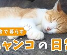 バナー・ヘッダーなどWEB画像作成します 低価格で丁寧にご対応させていただきます。 イメージ5