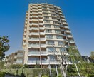 1枚500円〜Photoshopでお写真加工します 修正無制限無料！写真の加工・補正・レタッチ・合成が必要な方に イメージ2