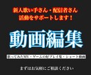 新人の歌い手さんや配信者さんの活動サポートします 安価で高品質な動画を！歌ってみたMV、ティザーPVなど！ イメージ1