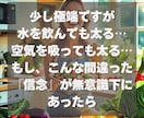 ヒプノセラピー太る思い込み解除！自然に痩せさせます 我慢ダイエットはもう終わり！無意識下のストレスを根本解消 イメージ5
