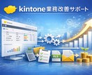 kintone運用・改修代行サービスします kintoneとExcelの"ぐちゃぐちゃ"まとめ整理します イメージ1