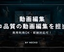 現役クリエイターがプロ品質の動画編集を担当します プロ品質の動画編集を担当します｜商用利用OK・即納対応可！ イメージ1