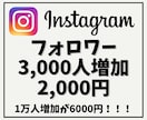 Instagramフォロワーを3000人増やします 【インスタ増加】他社より高ければご連絡ください！ イメージ1