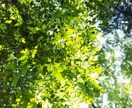 人生相談。あなたの話を聞いて　魂の目で心を癒します !霊界からの視点で!　心のケア、メンタルケア、カウンセリング イメージ6