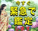 突然のトラブル・決断を急ぐ時、緊急で鑑定します 一刻も早く楽になるを霊感タロット＆高波動霊視で叶えます イメージ2