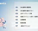 初心者向けSNS運用マニュアルをPDFを納品します この1冊でSNS運用を効率化・戦略化・即実践可能 イメージ2