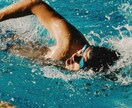 貴方に合ったメニューを提供いたします 水泳歴20年、指導歴10年のコーチがメニューを作成します。 イメージ4