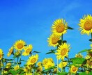 今すぐ話しを聞いてほしい！そのモヤモヤ開放します お茶やお酒を飲みながらな感覚でも☆ イメージ1