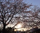 小・中学生(数学/英語/理科/社会)を教えます 現役理系大学生が真摯にサポート！ イメージ1