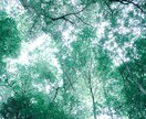 好きなもののお話、存分に聞きます 好きなものへの情熱話をぜひ聞かせてください！ イメージ5