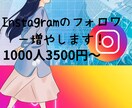 instagramのフォロワー増やします 1000人〜収益化までお手伝い！ イメージ1