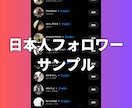 インスタの日本人フォロワーを100人〜増やします 【最安】Instagramの日本人100人増加ほぼ減少なし イメージ4