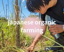 体に土に優しい野菜の作り方教えます ゆるーく自分で作った安心安全な野菜作り イメージ1