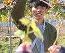 農業に興味のある方、仕事にしてみたい方相談乗ります 聞く機会の少ない農業について、20代農家が気軽にアドバイス イメージ2