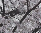 誰も聴いてくれない日頃の悩み、愚痴聞きをします 「話して良かった。また話聞いてください！」と言われました。 イメージ3