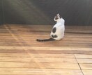 肯定も否定もしません。ただあなたの話を聞きます 意見が欲しいわけではなく ただ話しを聞いて欲しい人へ イメージ2