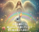 ペットロス癒しの対話セッションします 愛する存在との絆を、魂の次元でつなぎ直す時間 イメージ3