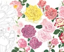 植物・花・ボタニカルのイラストを制作します 質感や形状を大切にお描きします。 イメージ1
