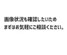 画像サイズ（解像度）アップ。画像を大きくします 画像高画質化・解像度・画像サイズアップ イメージ4