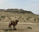 有資格者がウズベキスタン旅程作成の相談お受けします 今年20日間ウズベキスタンを旅した私が旅程作成をサポート！ イメージ5