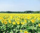 不安や愚痴、お悩み何でも聞きます 嫌なことが続き、ストレスを感じている方へ イメージ2