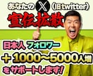 X(Twitter)＋日本人1000人～増やします 貴方のアカウントを宣伝して日本人フォロワーを増加/振分可 イメージ1