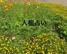 自分の「顔」にまだ知らないあなたが隠れています 頑張りすぎて疲れた心に、優しい気づきの時間を。 イメージ1