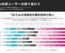 TikTok運用代行オールインワンで運用します 豊富な実績と独自のノウハウから培ったバズる企画でサポート イメージ4