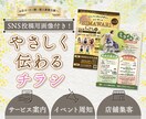 チラシデザイン制作｜やさしく伝わるチラシ作ります SNS画像付き！チラシもSNSも、やさしく整えたいあなたへ。 イメージ1