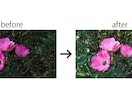 本業のプロが⭐️スマホの写真⭐️をキレイにします ⭐️たった1枚から⭐️OK‼️ イメージ1